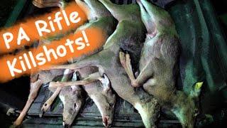 PA RIFLE DEER HUNTING! (Our Best Day) - 2020 Rifle Season