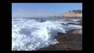 Your National Marine Sanctuaries: A Your Sanctuary TV Presentation