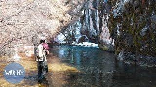 SOLO FLY FISHING & CAMPING IN THE UTAH MOUNTAINS