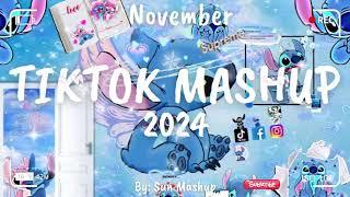 Tiktok Mashup November 2024 (Not Clean)