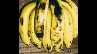 “Brown Bananas” - a Mary DeFrank, Charlie DeFrank, Burrell Palmer song