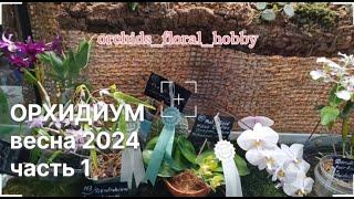 Орхидиум весна 2024. Обзор выставочной части  #орхидиум2024 #orchidium #орхидиум