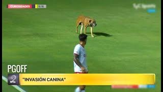 Curiosidades "Planeta Gol" 05/03/2023