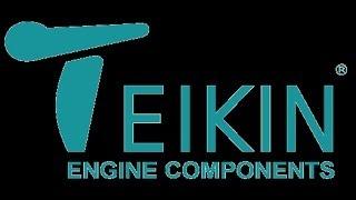 Teikin Company Profile