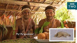 Tribes react to polar bears - Tribes, Predators and Me - BBC