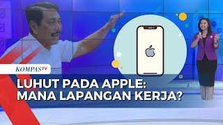 iPhone 16 Tak Kunjung Dapat Izin Masuk Indonesia, Luhut Tagih Lapangan Kerja ke Apple