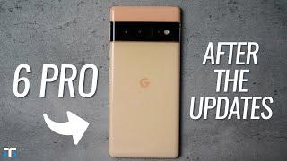 Pixel 6 Pro: After The June Update!