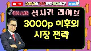 3000p 이후의 시장전략