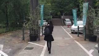 How to Walk Through a Torii Gate (Example)