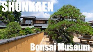 Shunkaen Bonsai Museum【春花園】 Tokyo Japan〜Japan OTAKU News〜