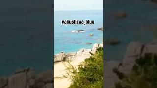 yakushima_blue