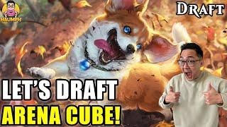 The Road To Rank Fun Begins | Arena Cube Draft | MTG Arena