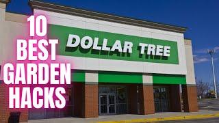 10 Best Dollar Tree Gardening Hacks