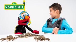 Sesame Street: Elmo and Kids Meet a Marine Biologist featuring @hihokids