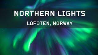 Northern lights in Lofoten