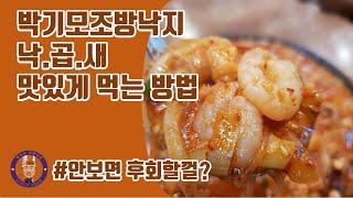 낙곱새 레시피 (feat.낙곱새 맛있게 먹는 법)