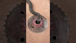 Easy Snake Trap using Steel & hole #creativesnaketrap #buildsnaketrap