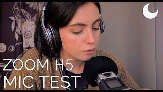 ASMR - Zoom H5 microphone test