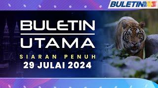 Jejak Harimau Malaya Semakin Hilang, 'Dibaham' Ancaman Kepupusan | Buletin Utama, 29 Julai 2024