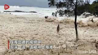 澳大利亚海岸出现咖啡色泡沫海浪 能把人整个淹没