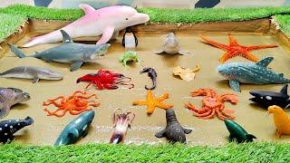 Exciting Adventure with Sea Animals Ocean Animals in a Sandbox: Learning Fun for Children