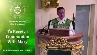 To Receive Communion With Mary - Sermon by Fr Demornex (8 Sep 2024)