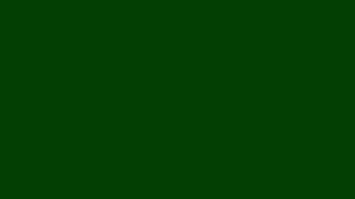 DARK GREEN SCREEN (1) (HD) - 10 HOURS