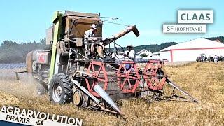 Claas SF (Grain tank) • Wheat harvest | Agrarvolution Praxis