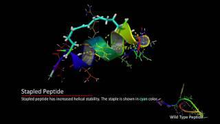 Molecular Dynamics on Stapled Peptide - Computational Drug Design
