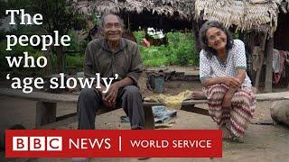 The Tsimane Amazon tribe where people age better - BBC World Service