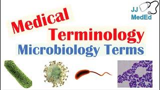 Medical Terminology - The Basics - Microbiology and Infectious Diseases Lesson