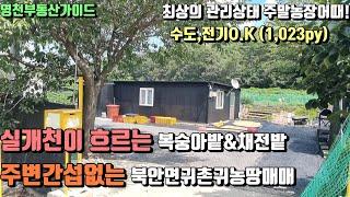 북안 i.c초인근 도로좋고 농막딸린 관리최상급 복숭아밭매매(1023py)2억500만[매물번호372]/영천부동산가이드/영천부동산