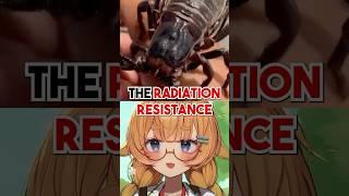 SCORPIONS COULD OUTLIVE HUMANS?!