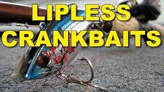 Lipless Crankbaits for Giant Bass! How To's, Tips, Tackle, and Techniques | Bass Fishing