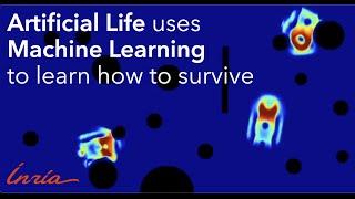 Artificial Life uses Machine Learning to learn how to survive