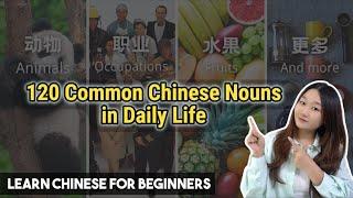 120 Common Chinese Nouns in Daily Life | Learn Mandarin for Beginners