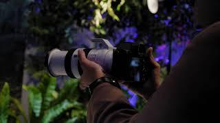 Sony Alpha Experience 2023 From Our Eyes | techENT