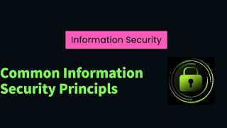 Common Information Security Principles That You Need To Know