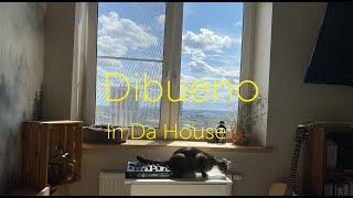 Dibueno - In Da House. Summer Sunny Funky Homy Lazy Set. House music. Приятный домашний летний сетик