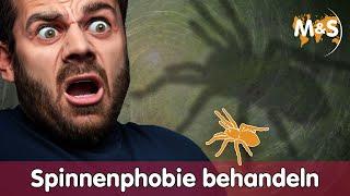 ️ Spinnen und Insekten Phobie los werden ⁉️