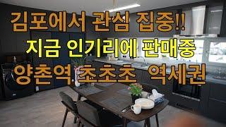 김포 구래리에 위치한 대단지 타운하우스입니다 양촌역에 인접해(도보5분) 있으며 지금 김포에서 가장 핫한 타운하우스 입니다 토지 평당 360만원 건축비 620만원!!