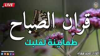 قرآن الصباح بعد الفجر في شهر رمضان️ قرآن كريم بصوت جميل جدا جدا يريح القلب ️ القارئ محمد هشام