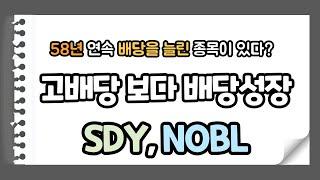 25년 이상 배당을 늘린 기업에 투자하는 방법 :  SDY, NOBL