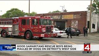 Good Samaritans rescue boys being mauled by dogs on Detroit's west side