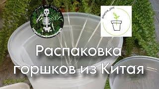 Распаковка горшков и прочих цветочных приятностей из Китая