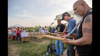 Weingut Benedikt - Wein & Musik beim Wagramkeller