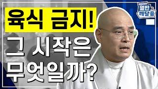 육식 금지가 이렇게 시작된 거라고? - [자현스님의 열반과 깨달음 8회]