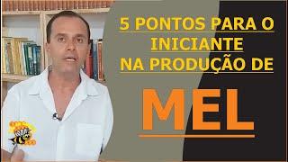 5 PONTOS PARA O INICIANTE PARA ATINGIR A SUPER PRODUÇÃO DE MEL