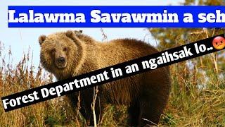 Lalawma savawmin a seh.. Forest department in an ngaihsak lo..