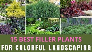 15 Best Ornamental Filler Plants For Colorful Landscaping | Best Ornamental Plants Front Yard